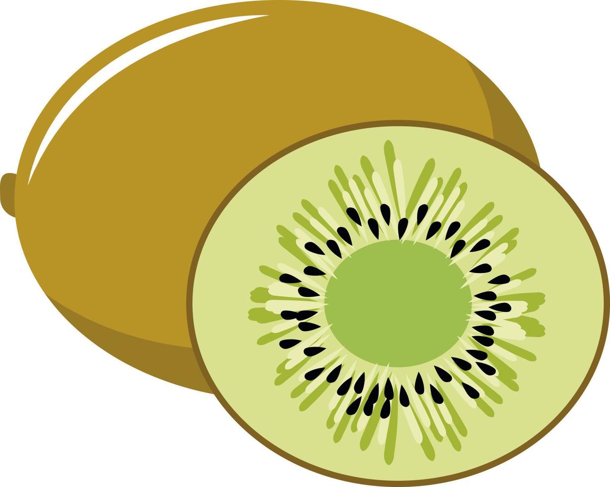 stuk van kiwi, illustratie, vector Aan wit achtergrond.