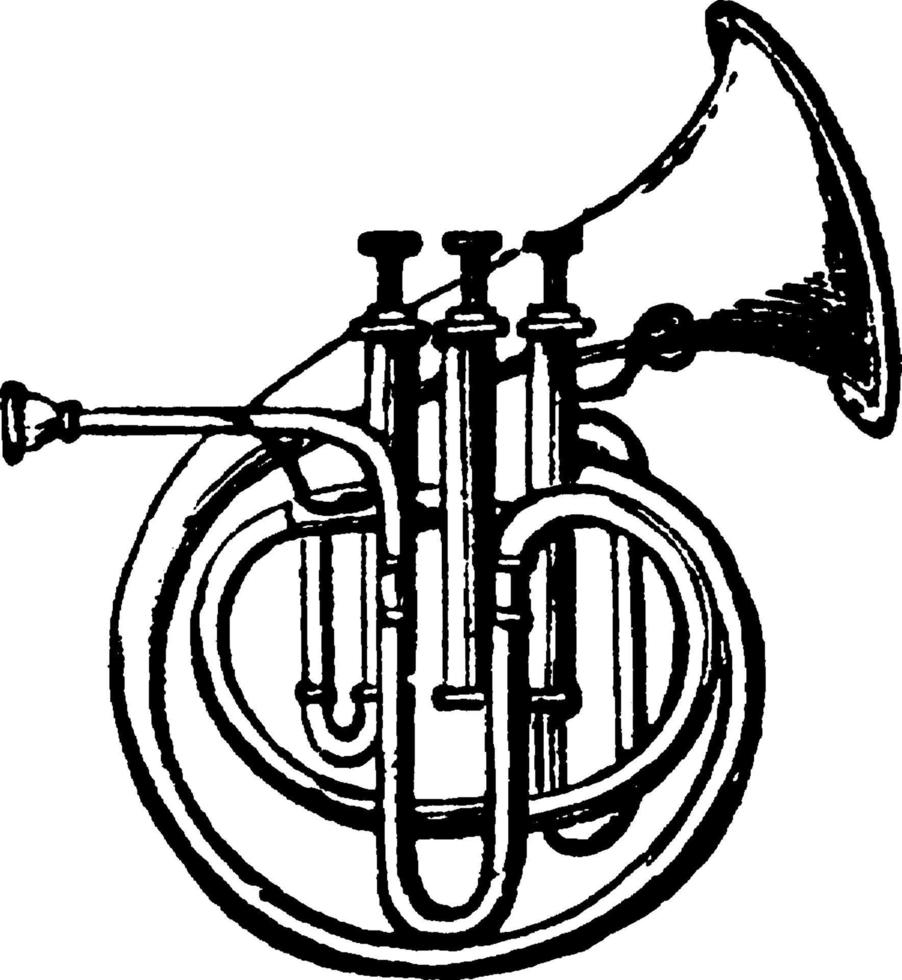 cornet-a-zuigers, wijnoogst illustratie. vector