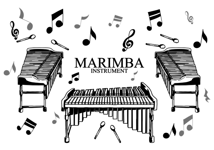 Marimba instrument vector