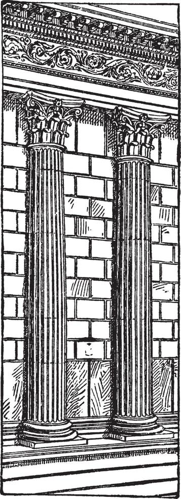 halve kolommen, verloofd kolommen van de maison carree, wijnoogst gravure. vector