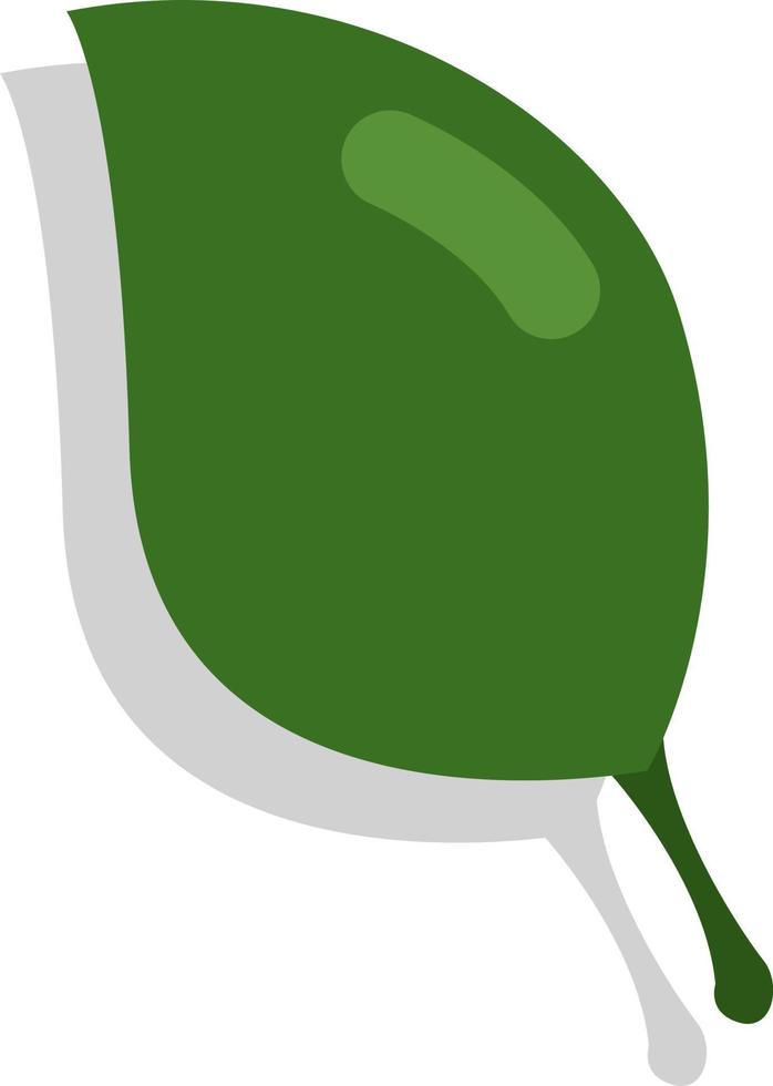 een groen blad, illustratie, vector, Aan een wit achtergrond. vector