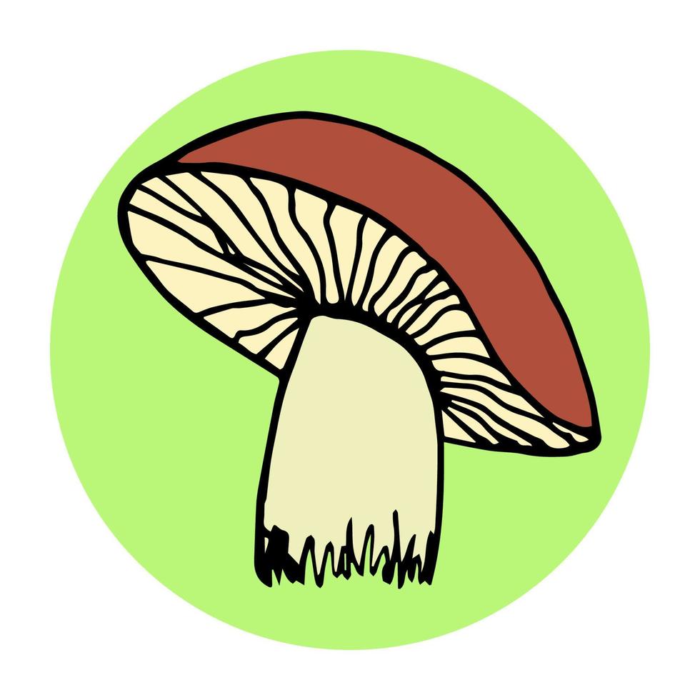 een eetbaar paddestoel met een bruin pet, tegen een achtergrond van een groen cirkel, boleet. voor afdrukken, stickers, label, Woud planten. veganistisch producten, eiwit. vector