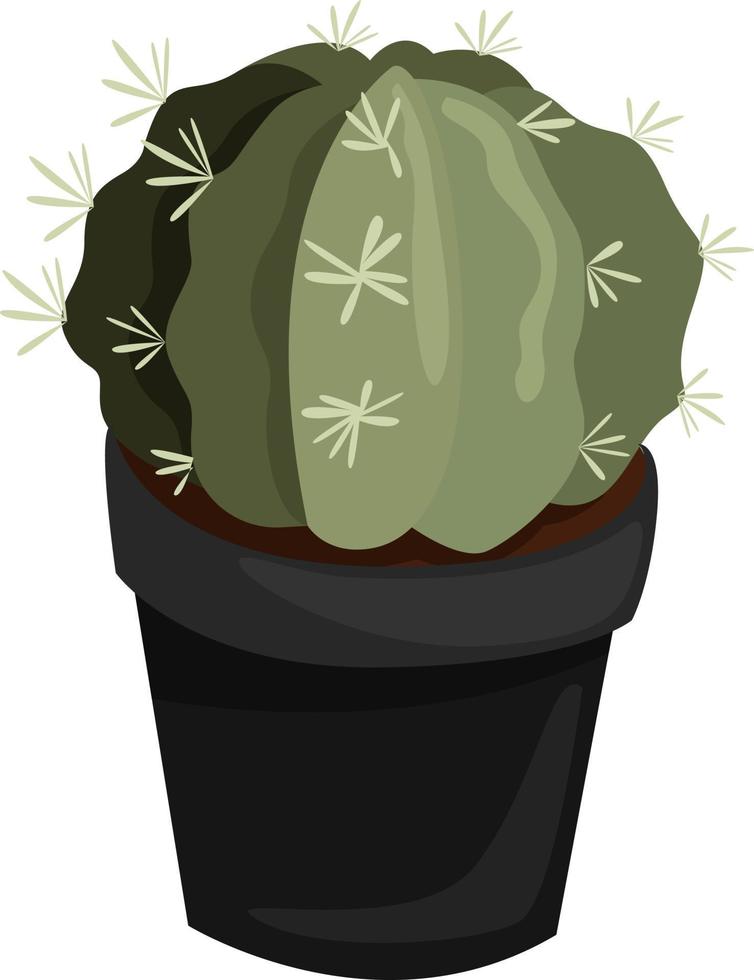 cactus in zwart pot, illustratie, vector Aan wit achtergrond