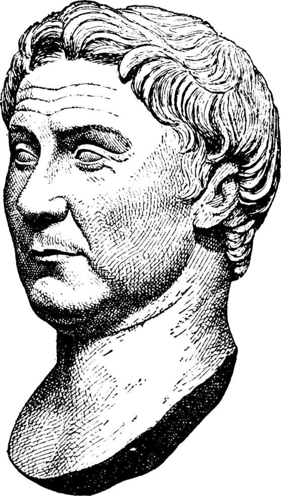 pompeus, wijnoogst illustratie vector