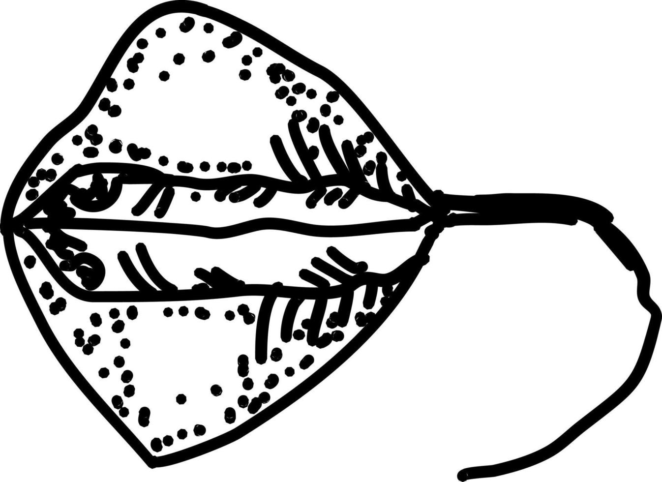 stringray vis, illustratie, vector Aan wit achtergrond.