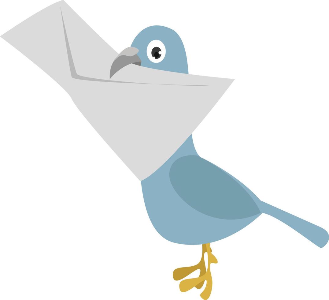 duif met envelop, illustratie, vector Aan wit achtergrond