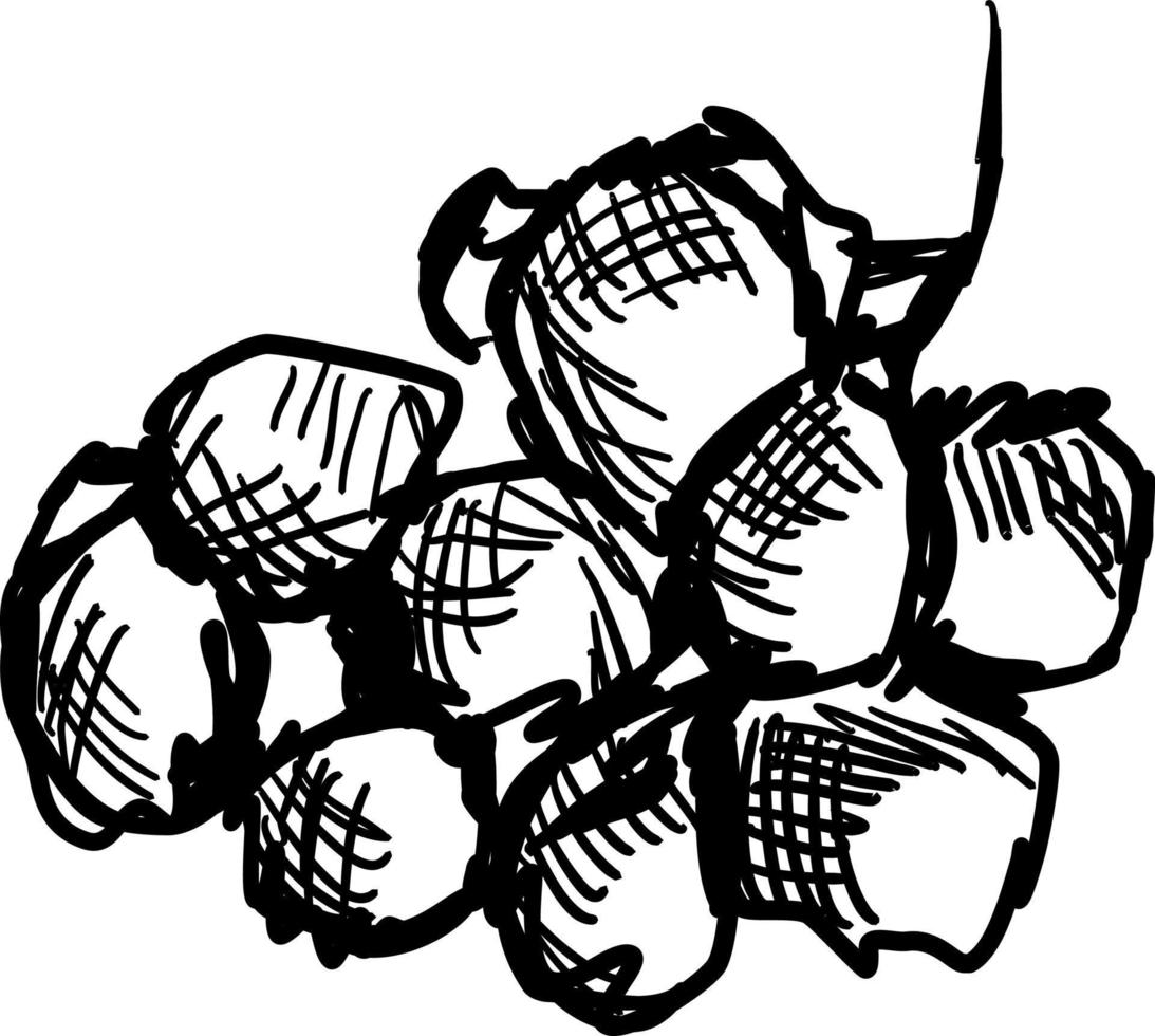 druiven schetsen, illustratie, vector Aan wit achtergrond.