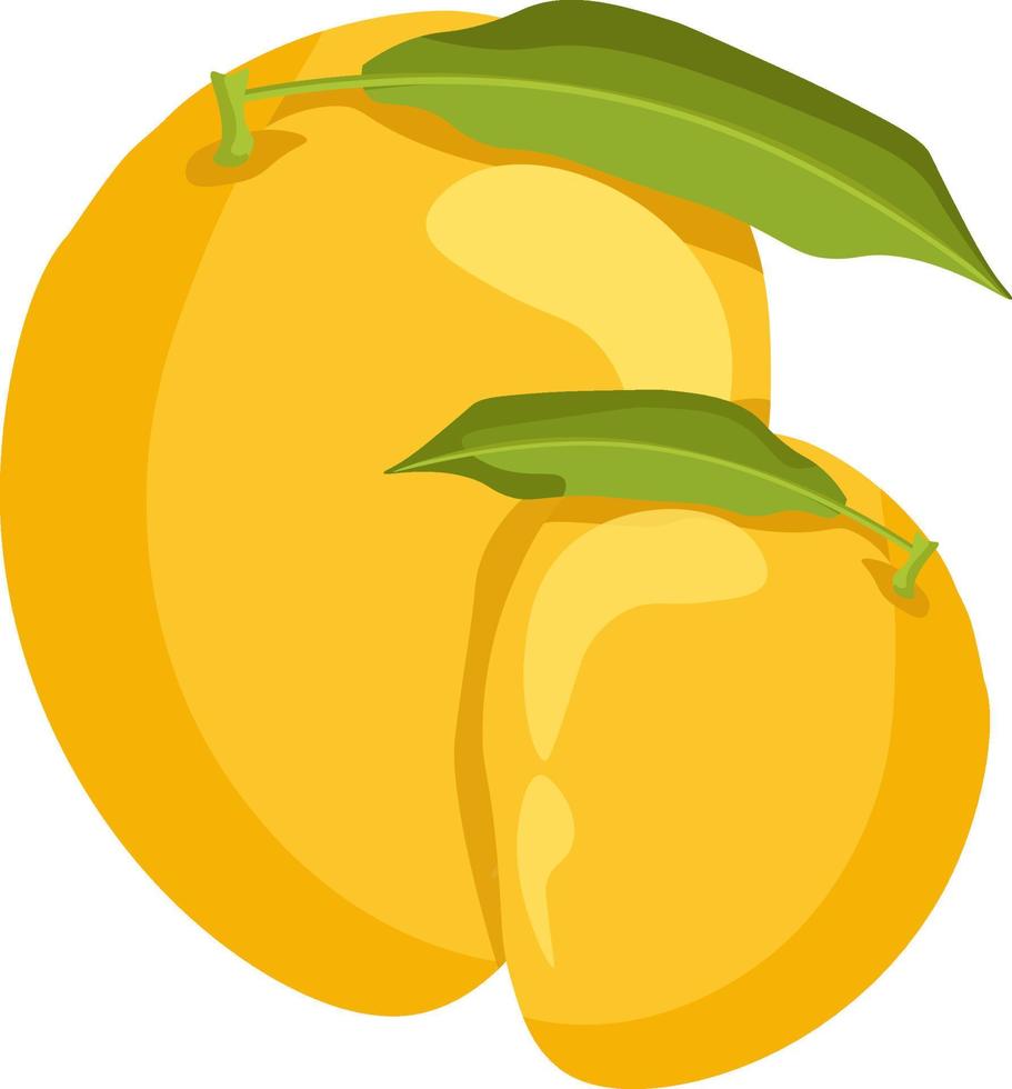 geel mango, illustratie, vector Aan wit achtergrond