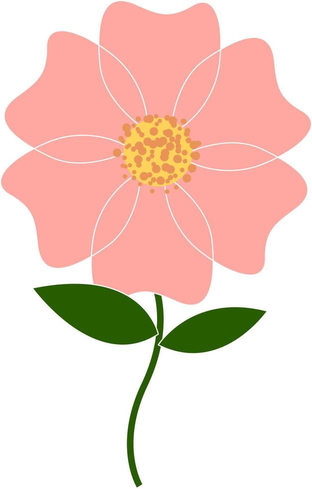 roze roos, illustratie, vector Aan wit achtergrond.