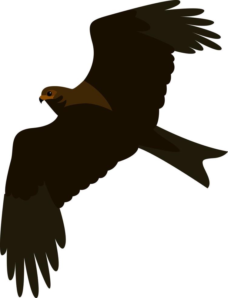 zwart vlieger, illustratie, vector Aan wit achtergrond