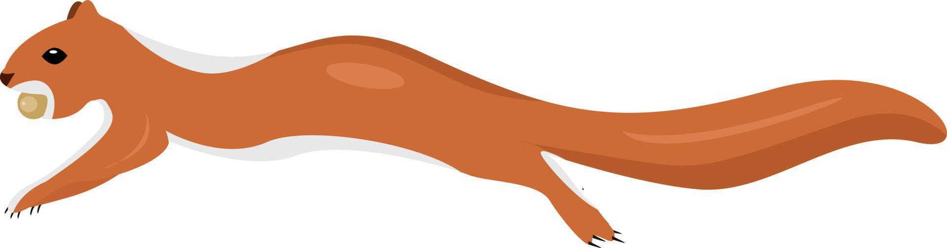 bruin eekhoorn ,illustratie, vector Aan wit achtergrond.