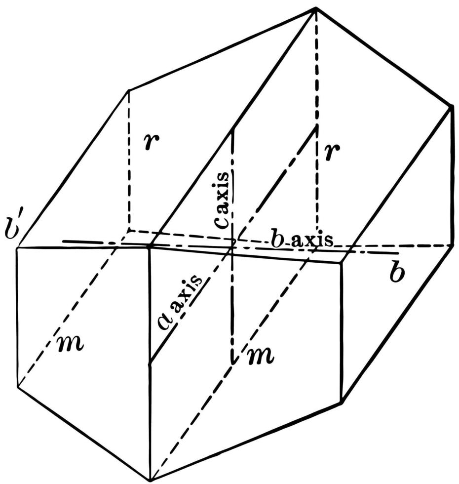 kristal van de monoklinisch systeem, wijnoogst illustratie. vector