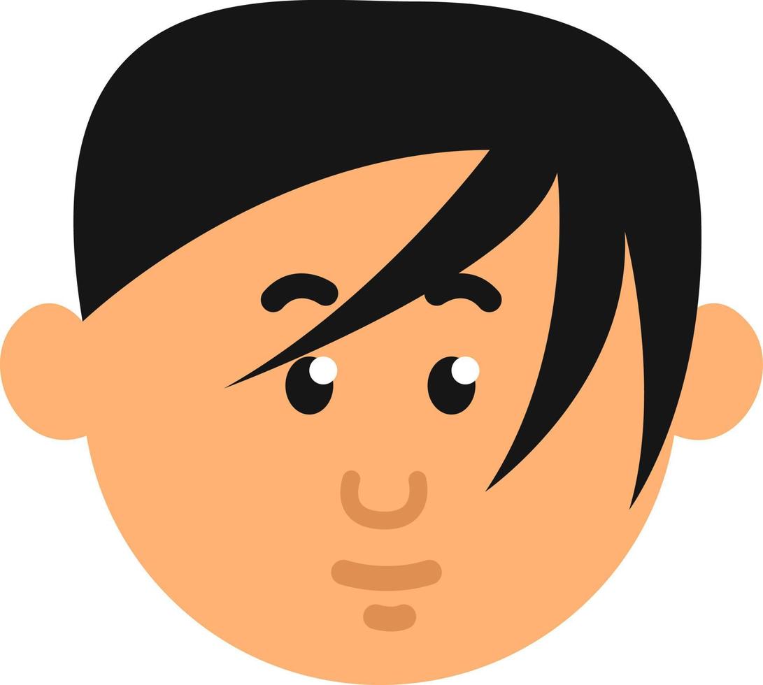 jongen met zwart haar, illustratie, vector Aan een wit achtergrond.