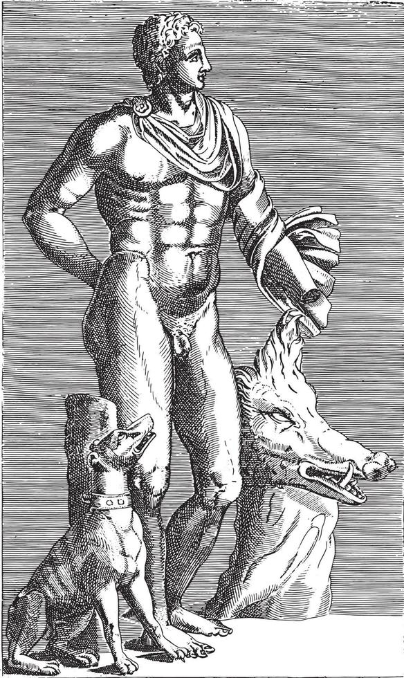 beeldhouwwerk van Adonis met jacht- hond en wild zwijn hoofd, anoniem, 1584, wijnoogst illustratie. vector
