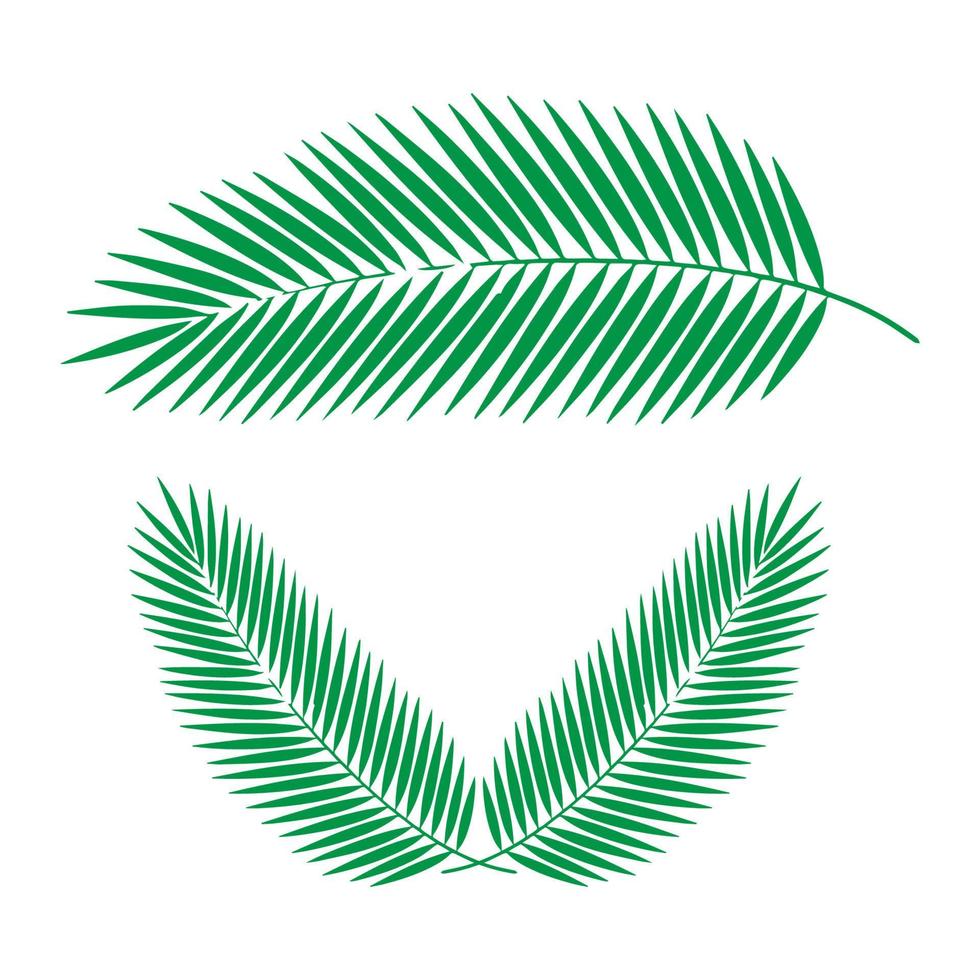 tropisch palm blad vector ontwerp