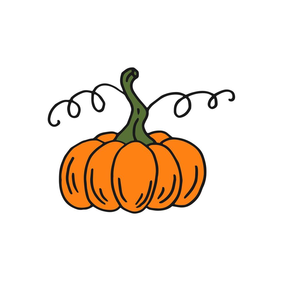 pompoen. vlak kleur icoon. dankzegging ontwerp. herfst pompoen. vector