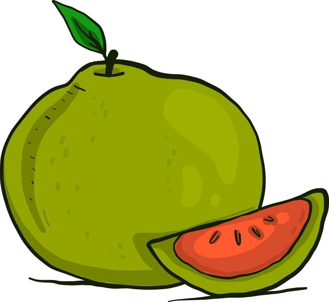 heerlijk pomelo,illustratie,vector Aan wit achtergrond vector