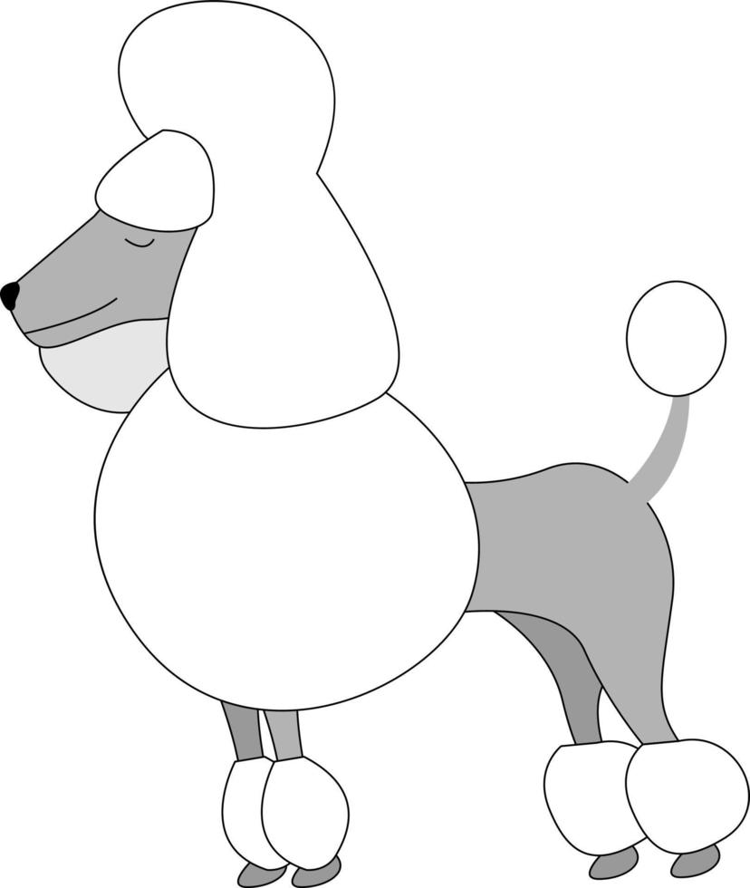 Koninklijk poedel hond, illustratie, vector Aan wit achtergrond.