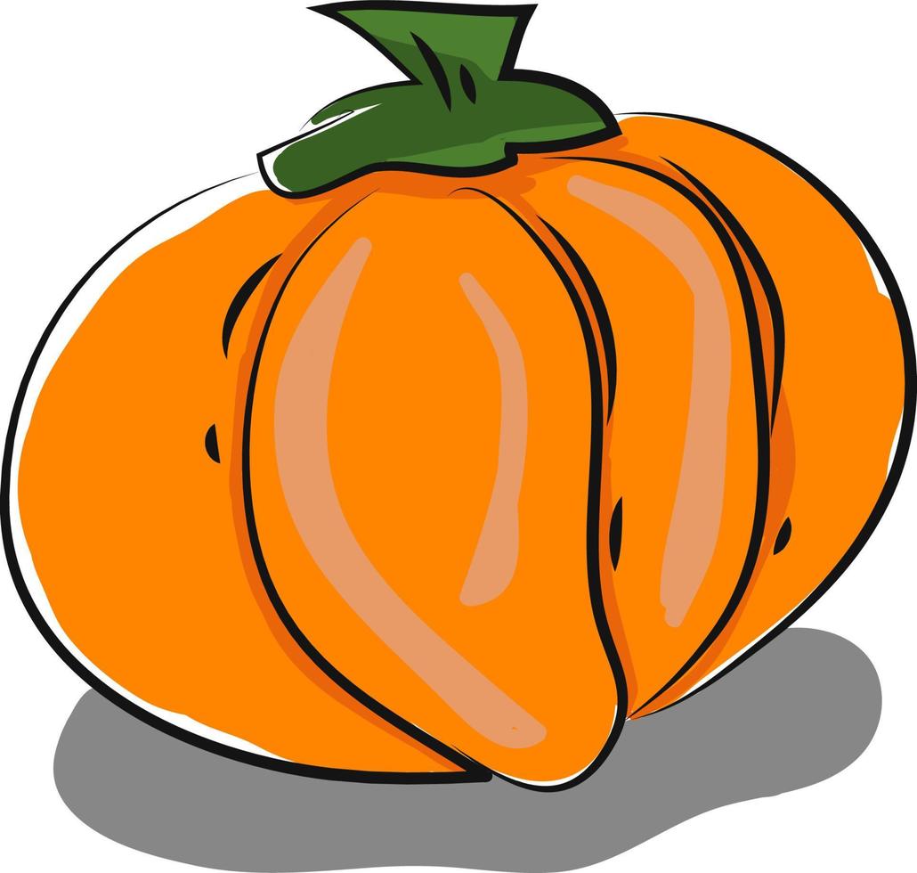 oranje pompoen, vector of kleur illustratie.