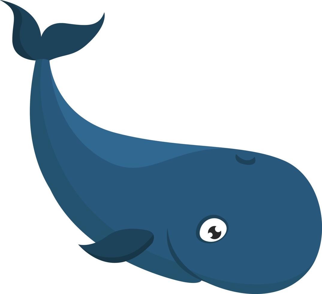 soort walvis, illustratie, vector Aan wit achtergrond.