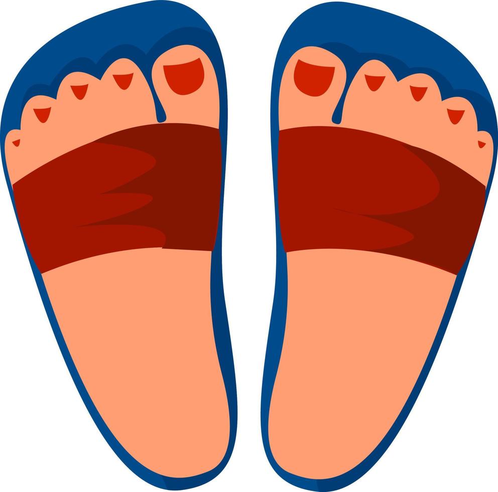 slippers, illustratie, vector Aan wit achtergrond.