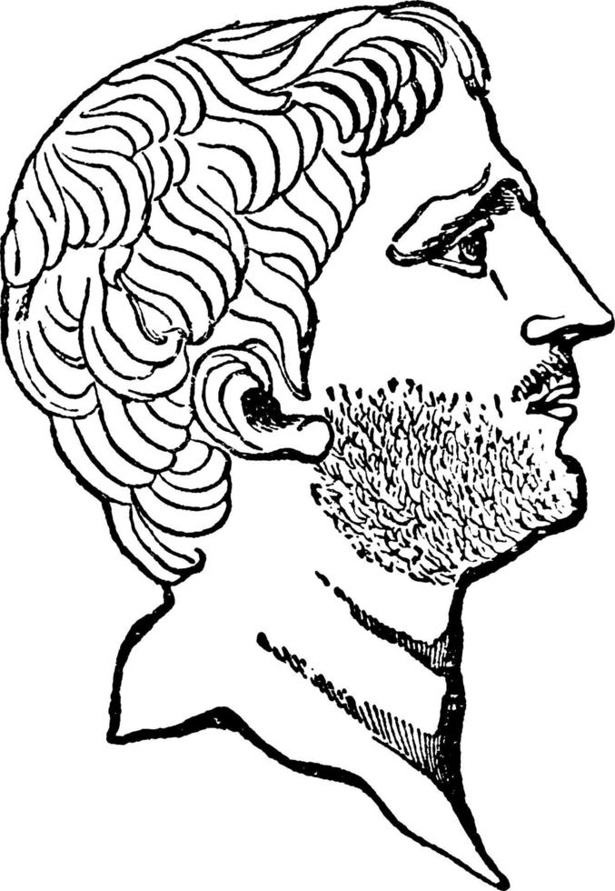 pompeus de groot, wijnoogst illustratie vector