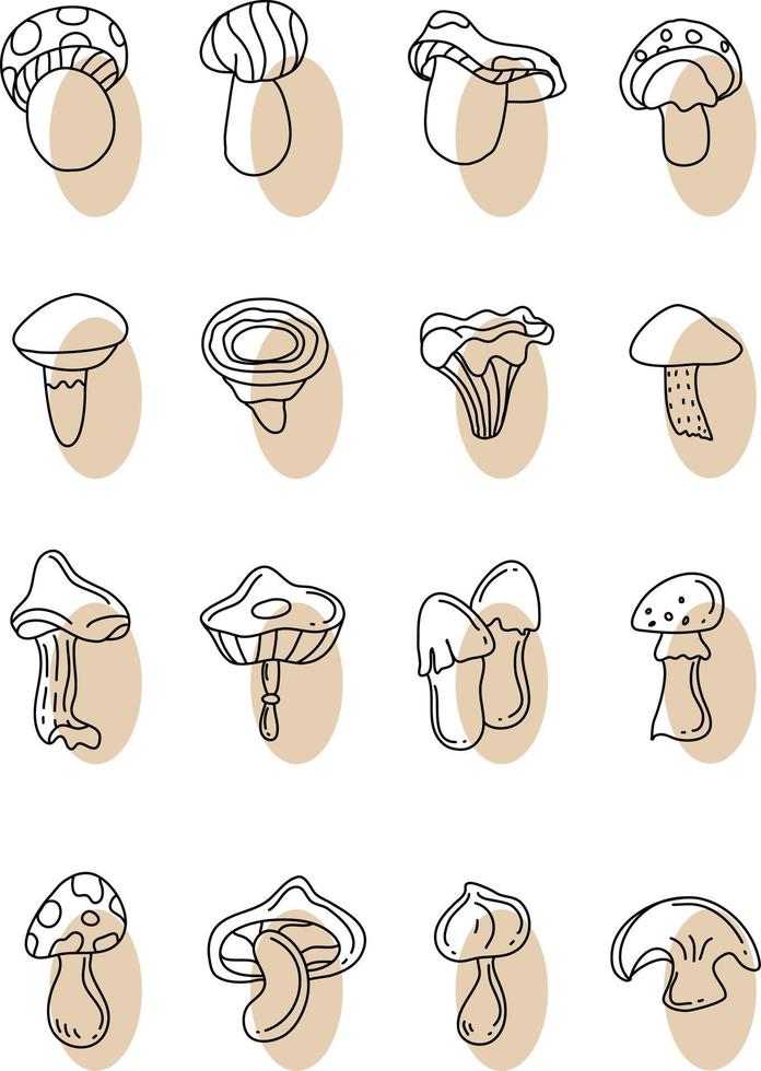 Woud paddestoelen, illustratie, vector Aan een wit achtergrond