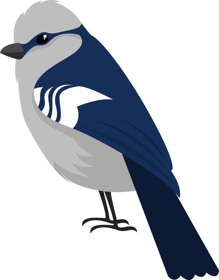 blauw vogel, illustratie, vector Aan wit achtergrond