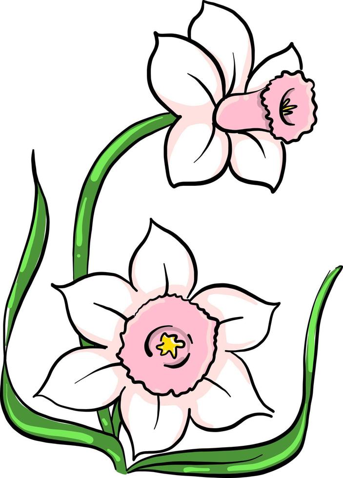 roze bloemen , illustratie, vector Aan wit achtergrond