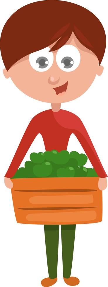 jongen Holding een doos van appels,illustratie,vector Aan wit achtergrond vector