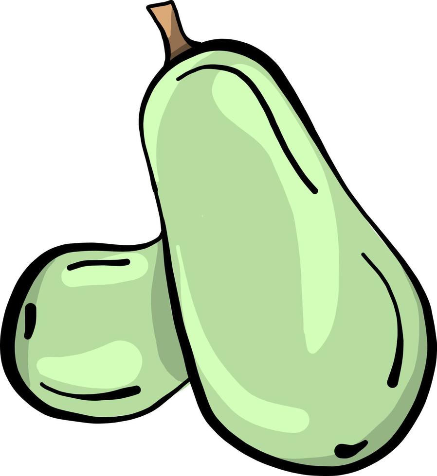 groen courgette, illustratie, vector Aan wit achtergrond.