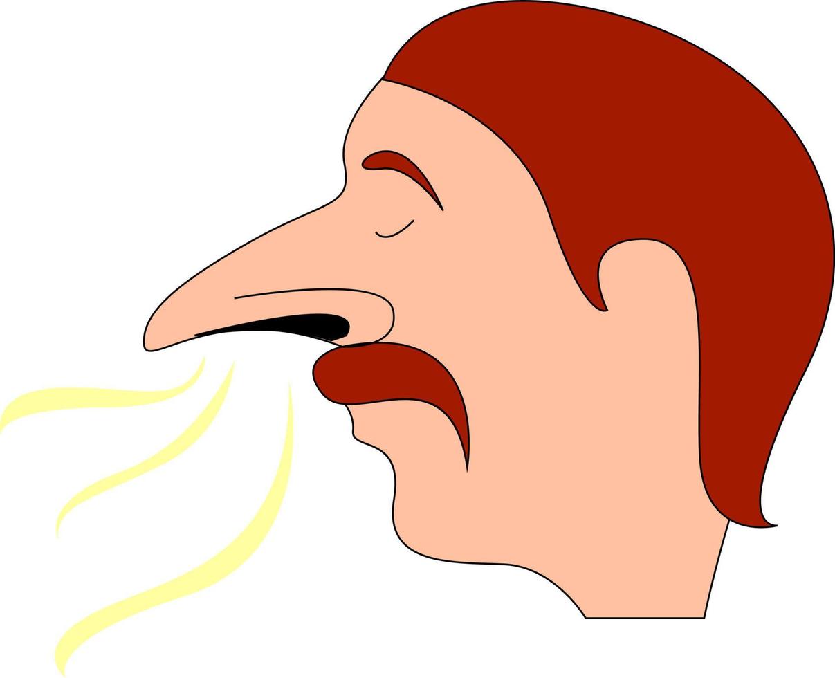 Mens met groot neus- ruiken, illustratie, vector Aan wit achtergrond.