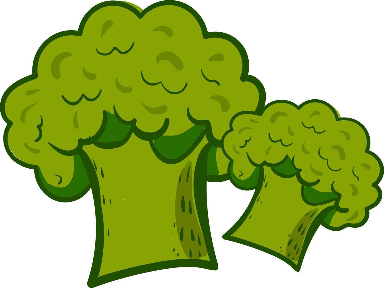 vers en gezond broccoli, illustratie, vector Aan wit achtergrond.