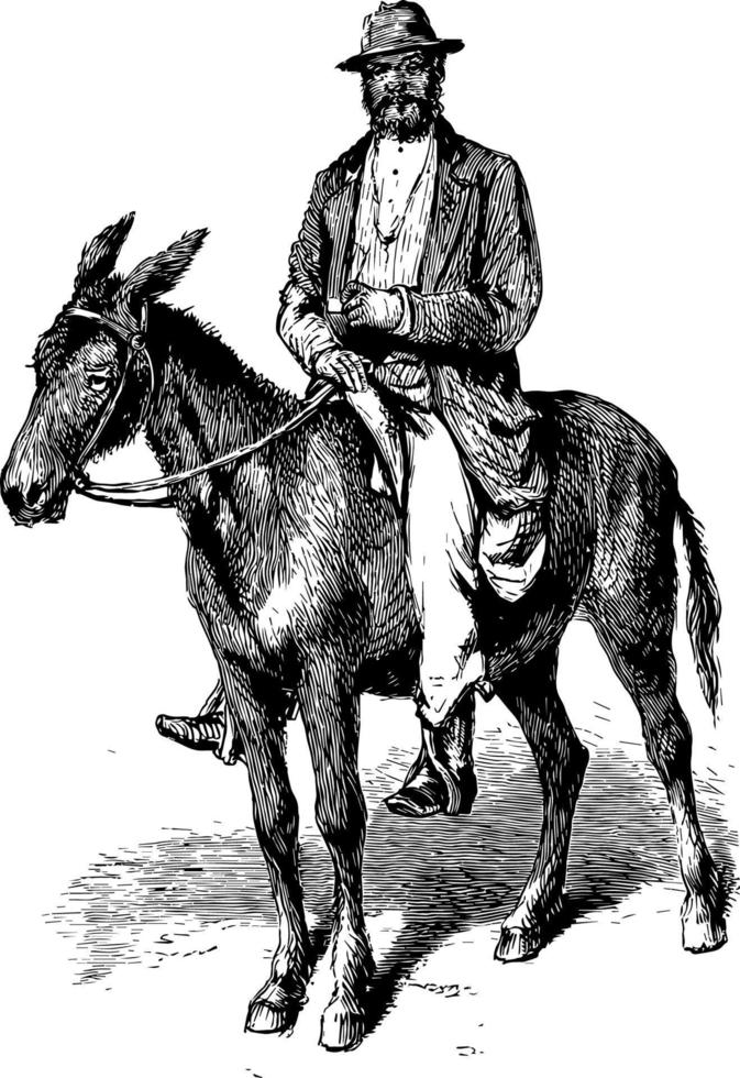 Mens Aan paard wijnoogst illustratie vector