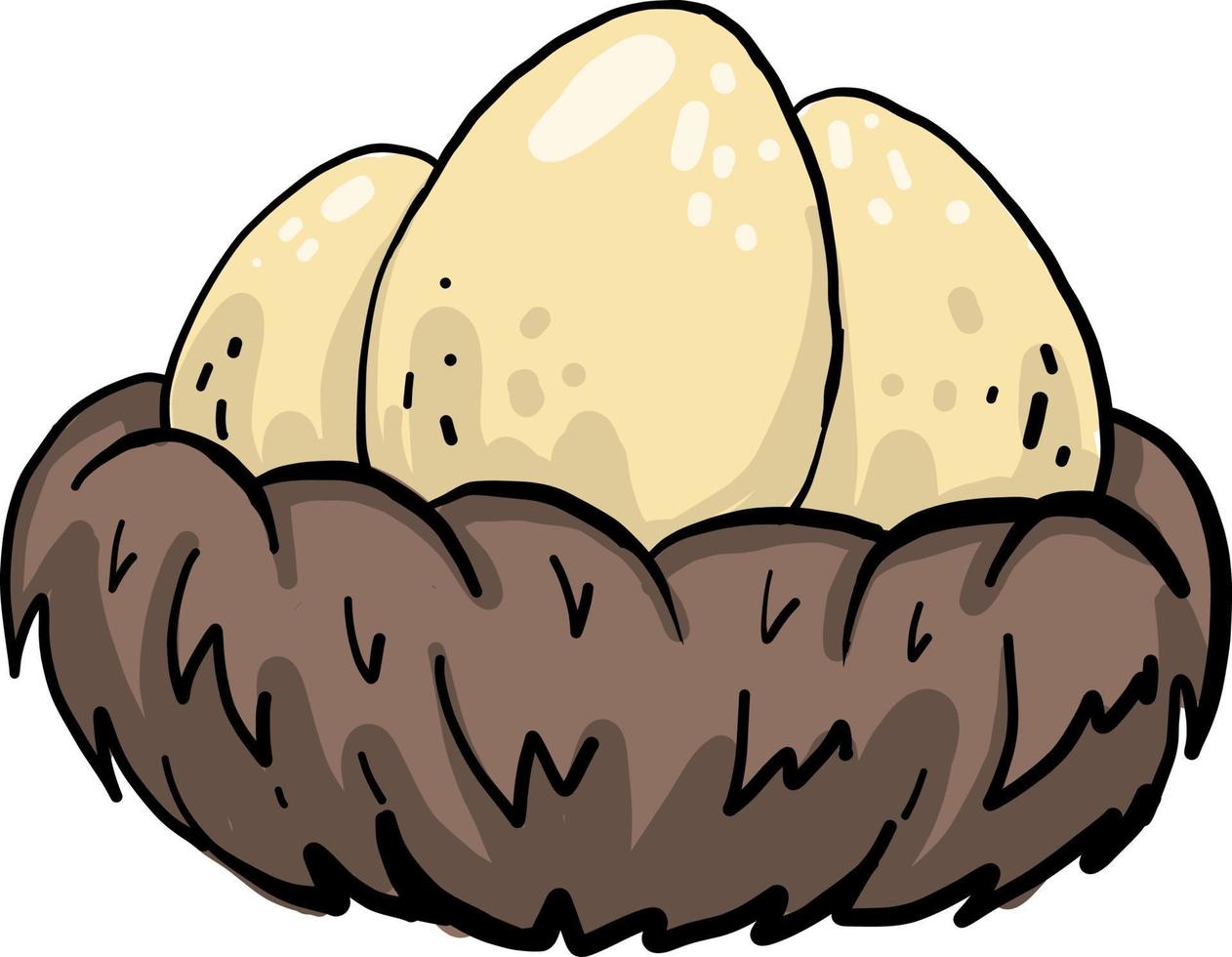 eieren in een nest, illustratie, vector Aan wit achtergrond