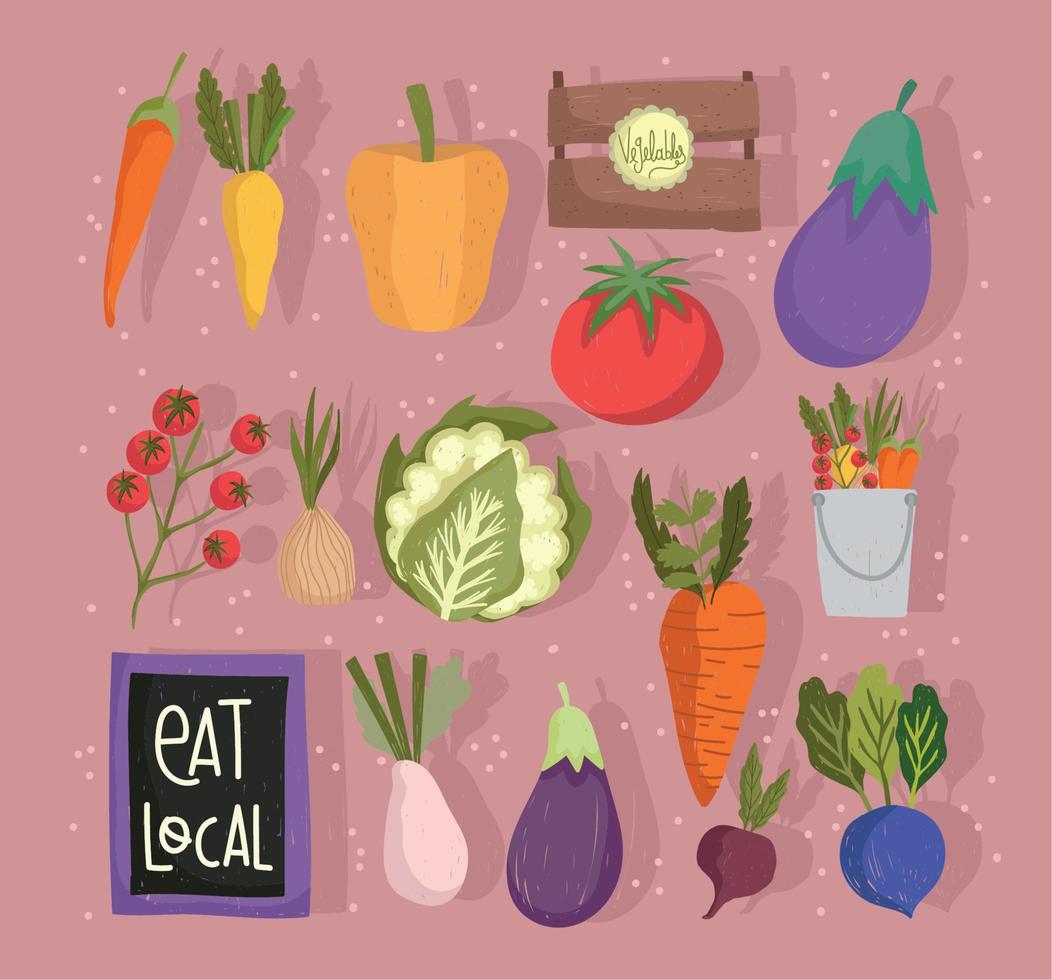 eten lokaal vers voedsel groenten gezond en voeding pictogrammen vector