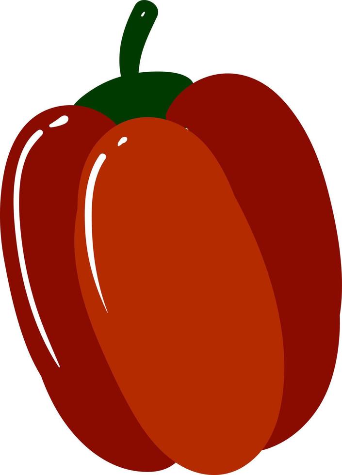 vers rood peper, illustratie, vector Aan wit achtergrond.