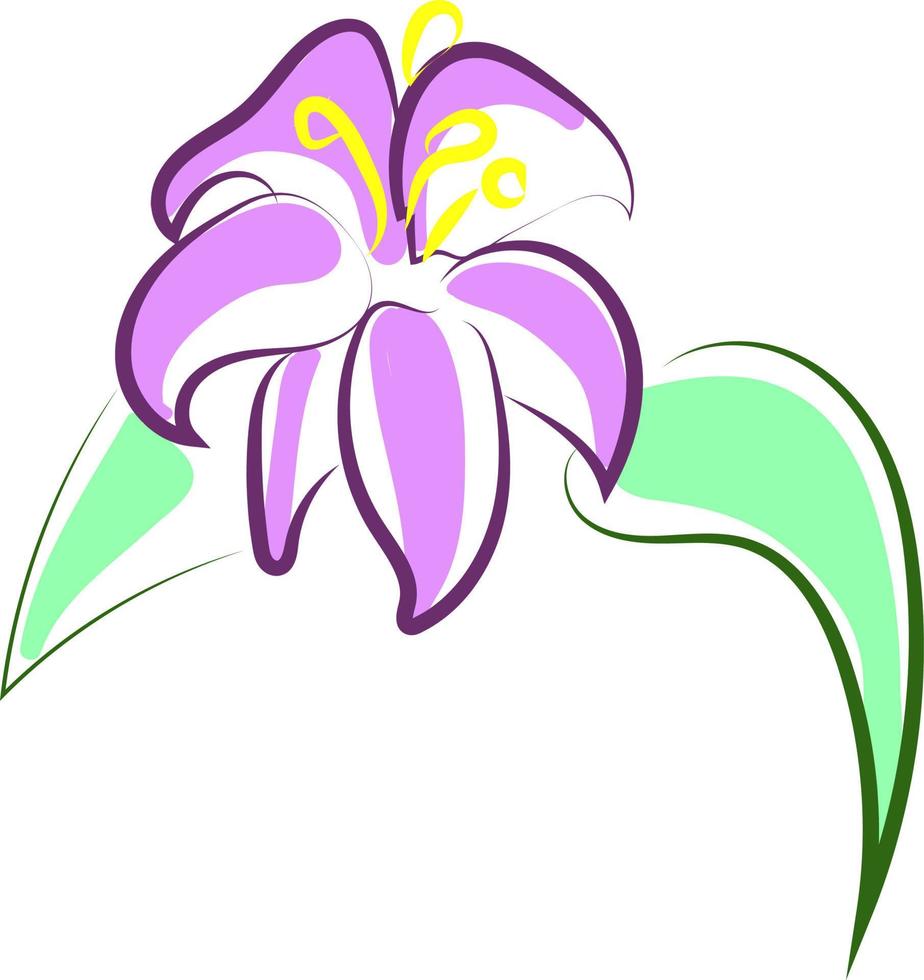 mooi Purper bloem, illustratie, vector Aan wit achtergrond.