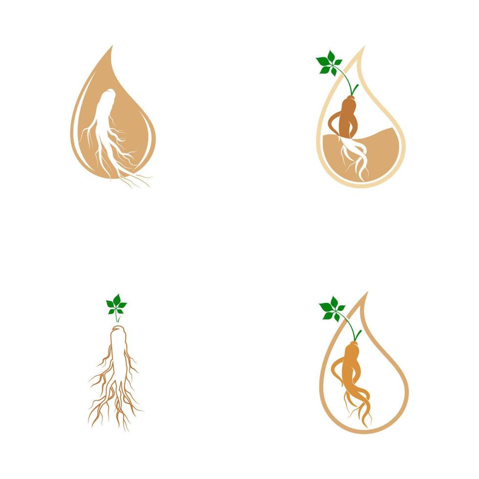 ginseng vector icoon illustratie