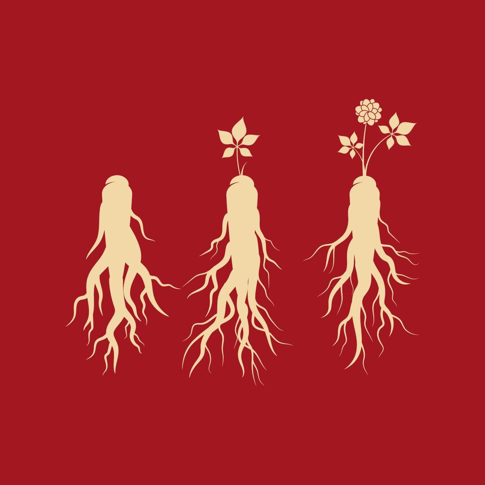 ginseng vector icoon illustratie