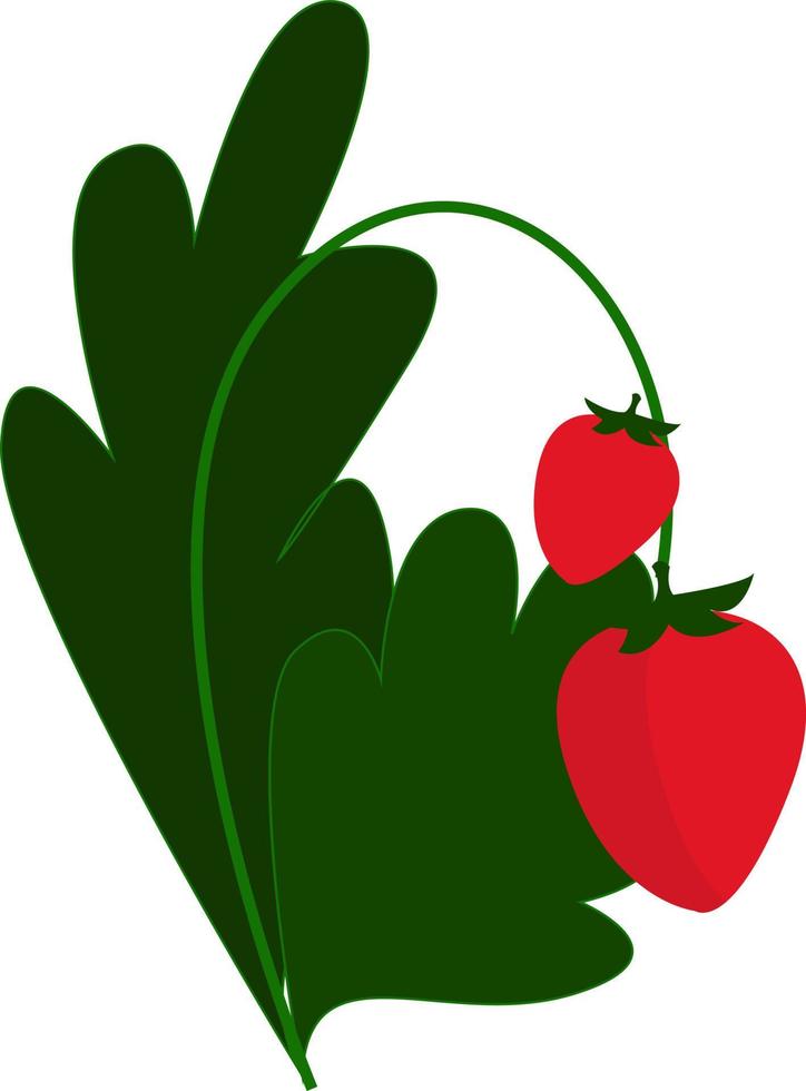 rood aardbei, illustratie, vector Aan wit achtergrond.