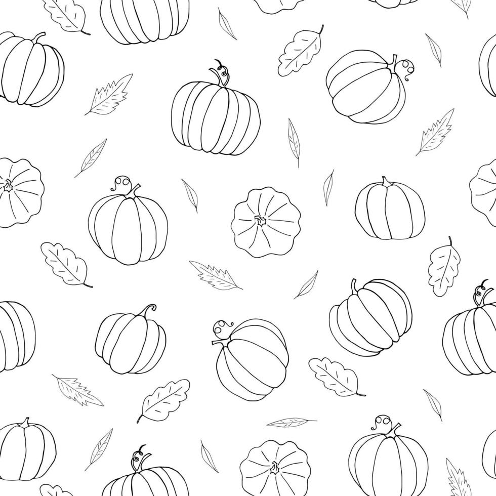 pompoen en bladeren naadloos patroon hand- getrokken in tekening. groenten in een gemakkelijk lijn stijl. vector