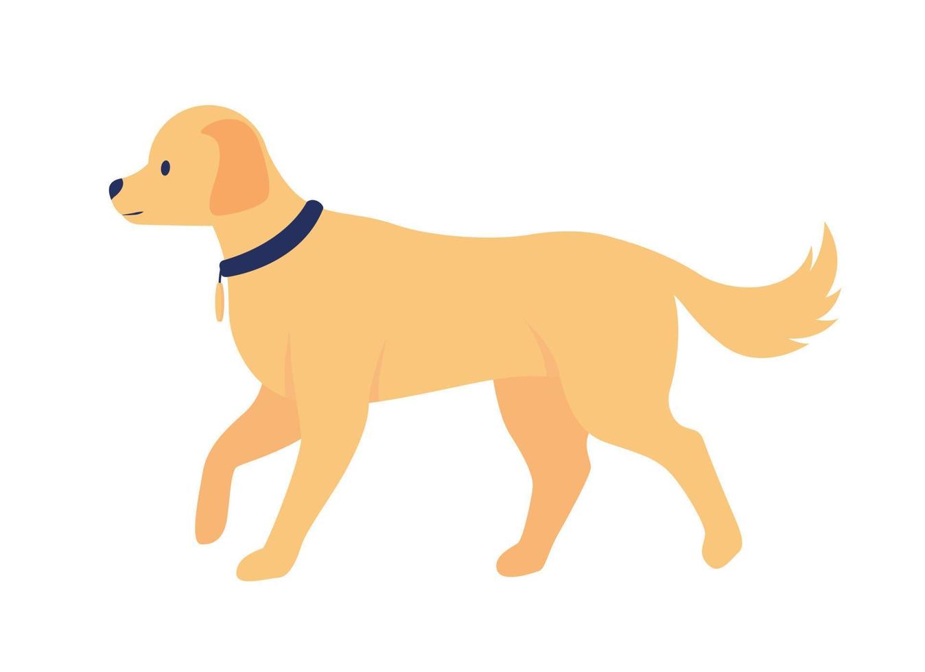 gouden retriever semi vlak kleur vector karakter. bewerkbare figuur. vol formaat dier Aan wit. zuiver ras huiselijk dier gemakkelijk tekenfilm stijl illustratie voor web grafisch ontwerp en animatie