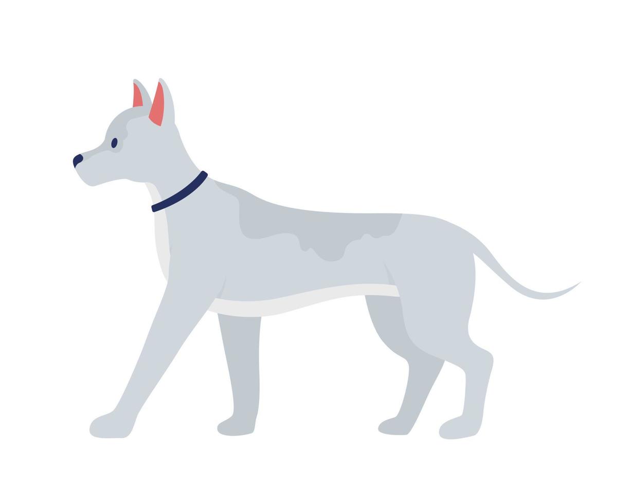 grijs hond semi vlak kleur vector karakter. bewerkbare figuur. vol formaat dier Aan wit. huiselijk dier. lief huisdier gemakkelijk tekenfilm stijl illustratie voor web grafisch ontwerp en animatie
