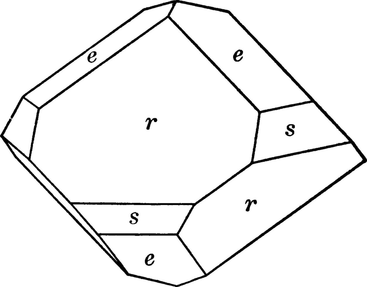 chabaziet, wijnoogst illustratie. vector