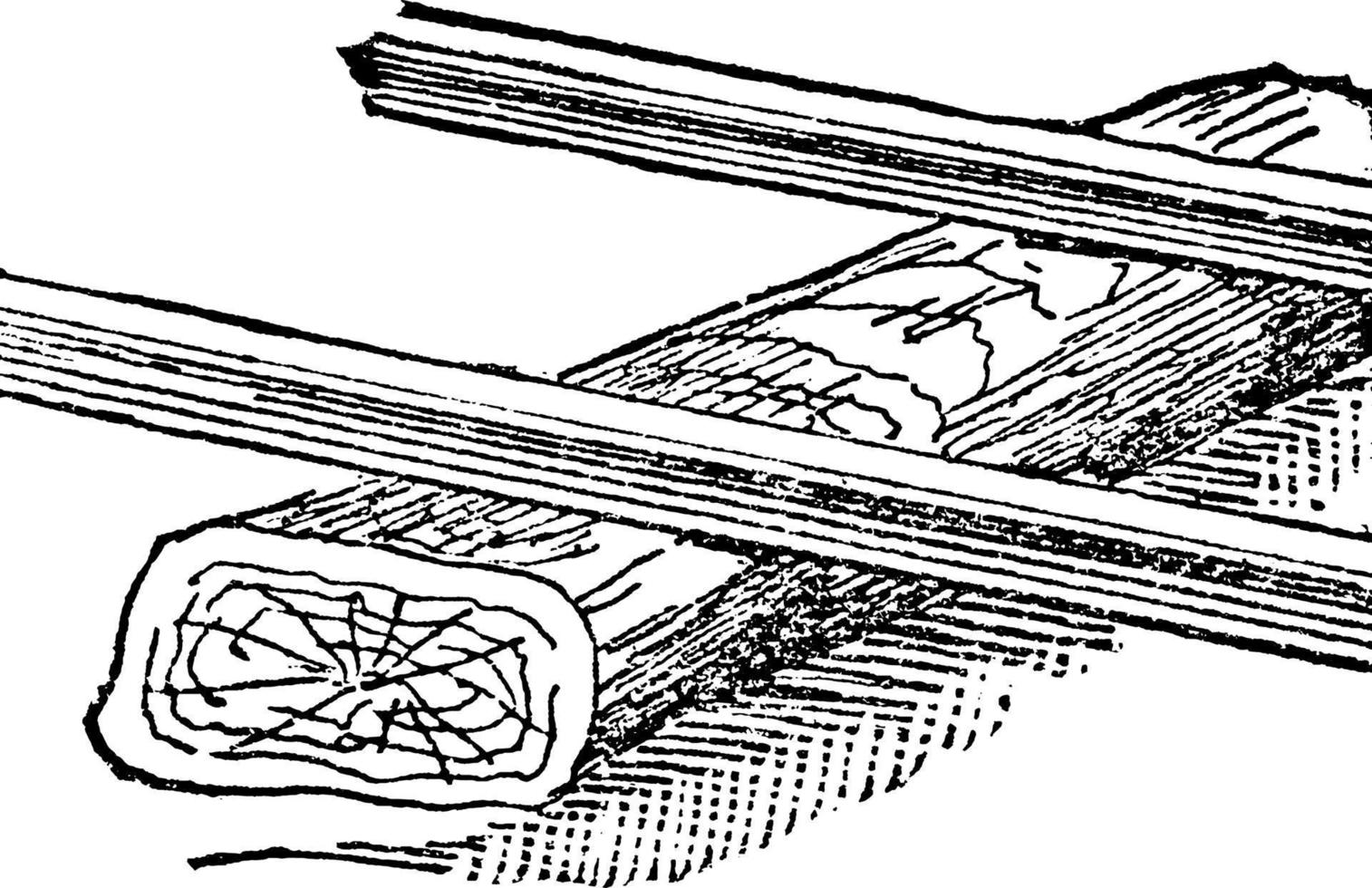 dorpel, wijnoogst illustratie vector