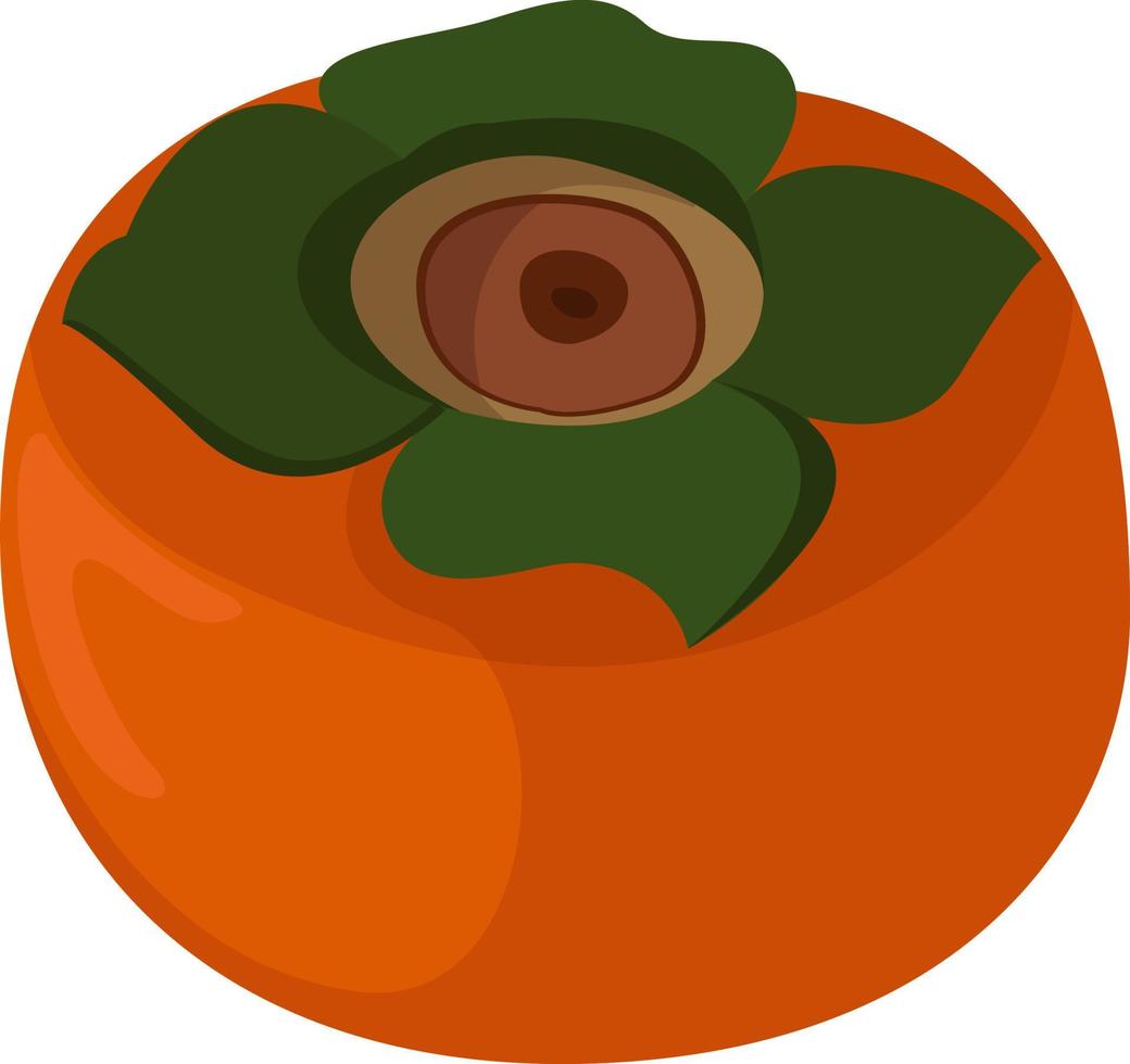 kaki fruit, illustratie, vector Aan wit achtergrond