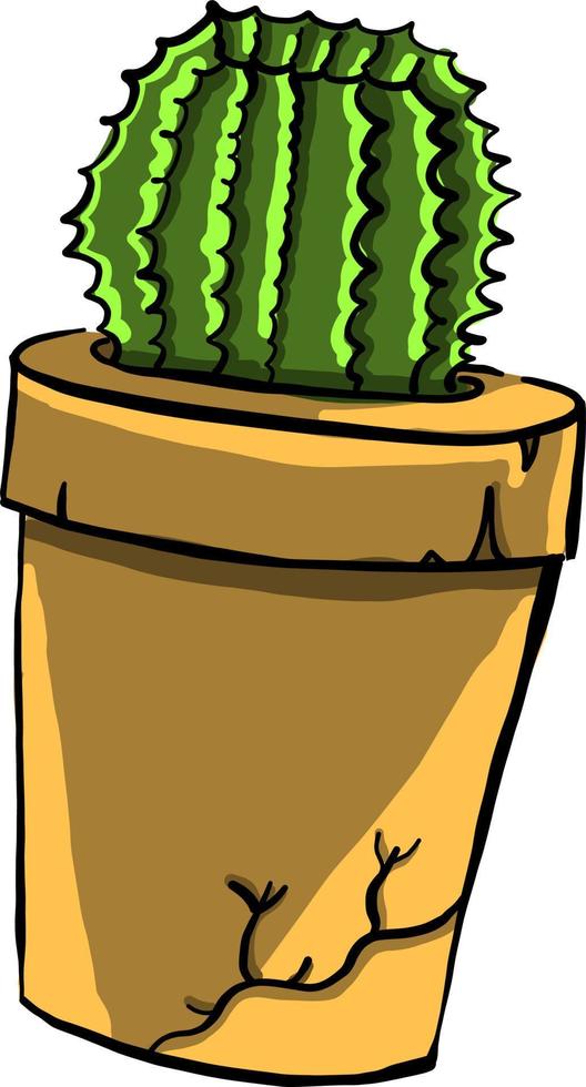 cactus in geel pot, illustratie, vector Aan wit achtergrond.