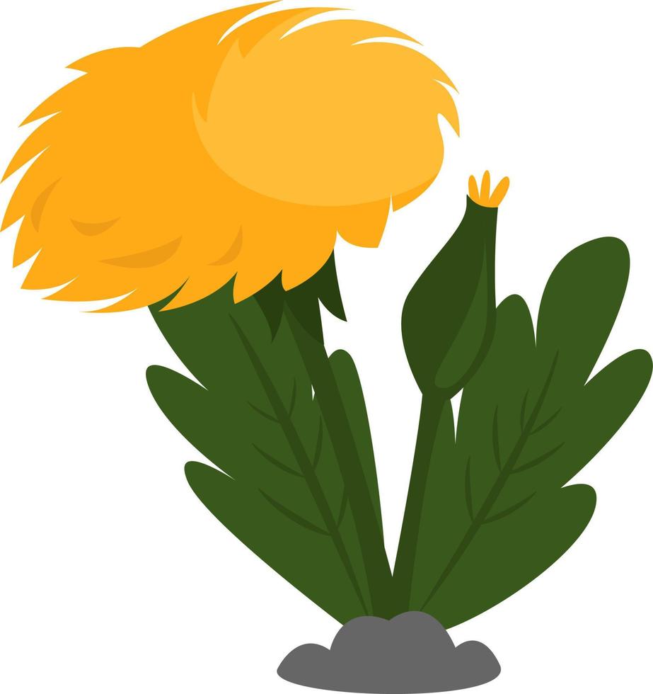 geel bloem ,illustratie,vector Aan wit achtergrond vector