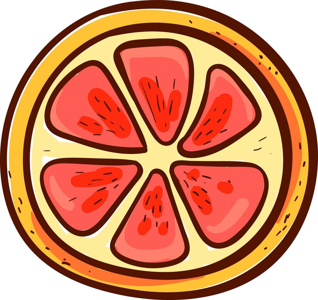 grapefruit plak, illustratie, vector Aan een wit achtergrond.